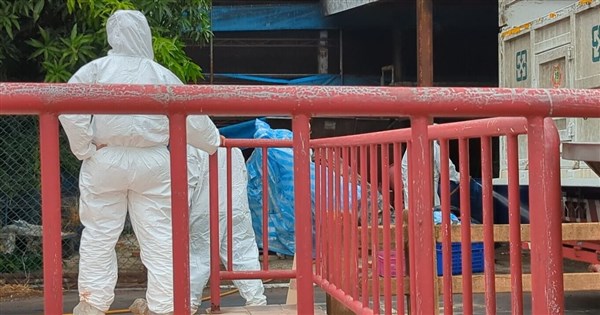 台中非洲豬瘟案場30日清消前　再驗出3處陽性