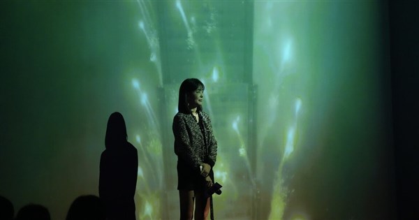 台北101跨年煙火畫面搶先看　迪士尼角色光雕秀12/27登場