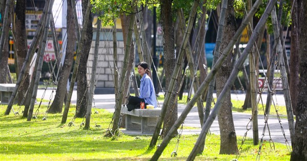 週末回暖　東北季風8日增強北部東部有雨
