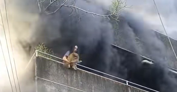 大火逃生先救毛小孩　菲律賓女子暖心一幕網路瘋傳[影]