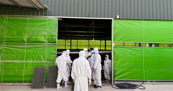 台中豐康牧場爆禽流感 業者涉棄置斃死雞遭收押禁見