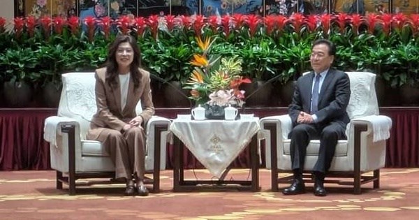 鄭麗文中國行會江蘇上海書記 提辜汪會談往事