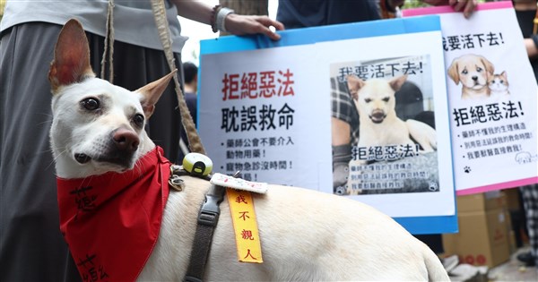 寵物用人藥新制配套進度落後惹議 農業部：若無共識不排除延後