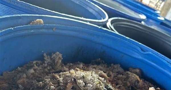 彰化・芬園の2つの養豚場が厨房ごみで飼育、移動制限と最大400万の罰金
