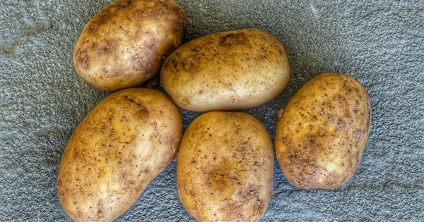 Can Sprouted and Rotten American Potatoes Be Imported? FDA: Must Be Discarded Whole