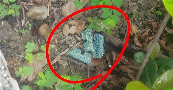 議員、公園の殺鼠剤誤食を懸念 台北市環境保護局が巡回点検し改善