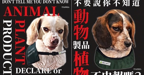 桃園空港の検疫犬の“凶悪”ポスターが日本で話題に 台湾の語呂合わせギャグに注目