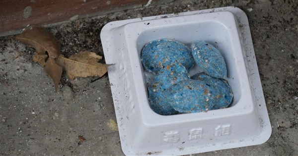 ネズミ駆除剤の誤食防止へ 台北市：関連情報を統合し市民に提供