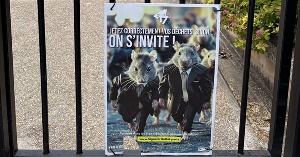 パリ、100年以上にわたりネズミ被害と格闘　捕獲報奨金からスマートトラップへ進化