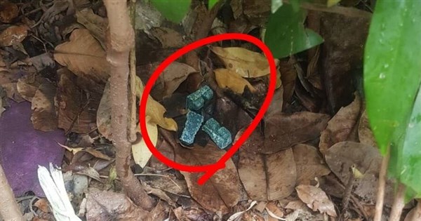 台北市環境保護局：ネズミ駆除剤は水に溶けず、ネズミが食べなければ回収