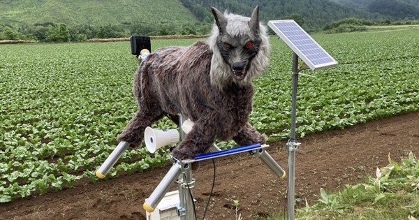 日本でクマ被害相次ぐ、北海道企業の「ロボット狼」に注文殺到