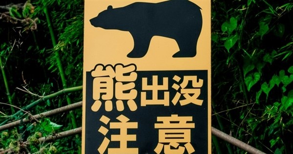 東京の山中で上半身のない遺体、クマに襲われた可能性