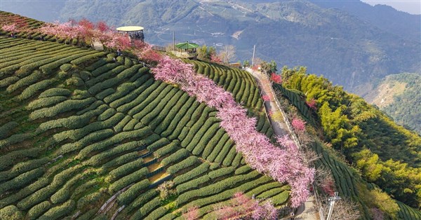 南投10億蓋纜車串聯太極峽谷遊憩帶 盼2031年營運