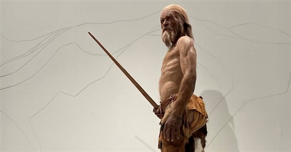 5000年前のミイラから酵母を発見、科学者がパン作りに成功