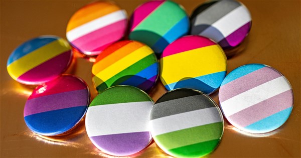 日本首份LGBT理解基本計畫 將推動校園輔導