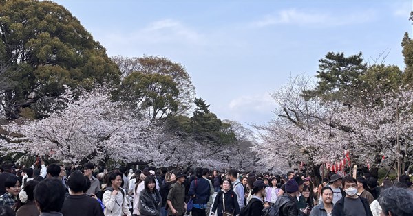 日媒:中國重啟赴日旅行團 業者稱政府默許