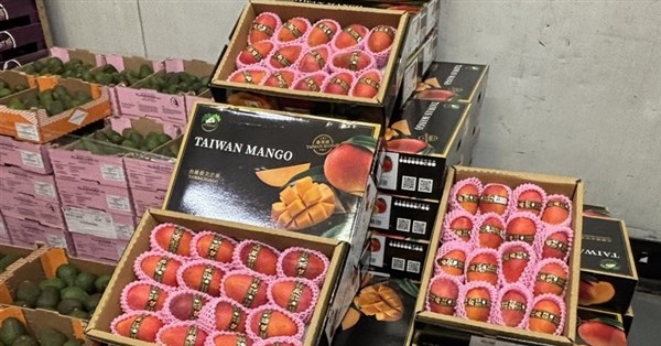 台灣芒果讓韓星驚豔、法國貴婦瘋搶 專家提醒用藥者慎食