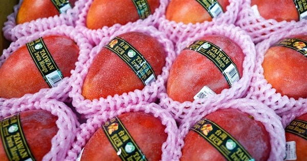 Taiwan's Premium Mangoes Make European Debut, Industry Confident in 'LV of Mangoes'