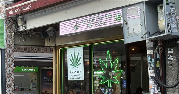 泰國大麻政策轉向 專家示警健康風險及青少年住院增加 泰國大麻政策轉向 專家示警健康風險及青少年住院增加