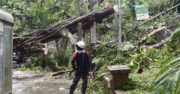 颱風薔琵襲台1死、527傷 路樹傾倒災情件數多 颱風薔琵襲台1死、527傷 路樹傾倒災情件數多