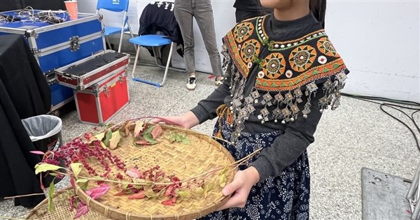 紅藜入太空、油芒成未來食物 原民穀物的美麗與哀愁 紅藜入太空、油芒成未來食物 原民穀物的美麗與哀愁