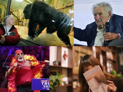 2025過世名人　珍古德推動保育聞名、澳洲金臂人救活240萬嬰