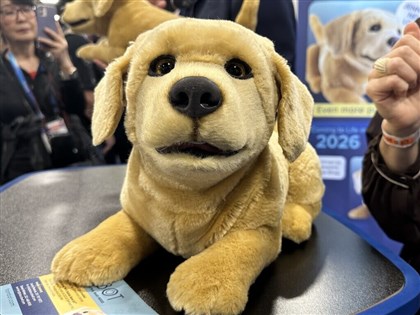 陪伴型機器人成CES焦點　助阿茲海默症患者機器狗有望進軍台灣