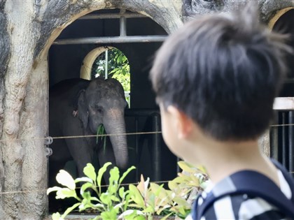 台北動物園動物少？網友質疑反激起讚聲：真的做很好