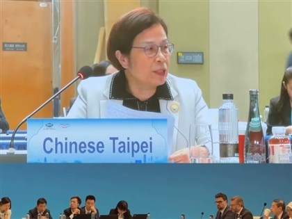 楊珍妮出席蘇州APEC會議　桌牌名稱維持慣例