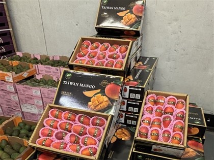 台灣芒果讓韓星驚豔、法國貴婦瘋搶 專家提醒用藥者慎食