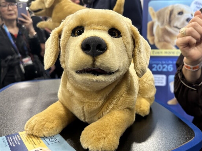 陪伴型機器人成CES焦點　助阿茲海默症患者機器狗有望進軍台灣