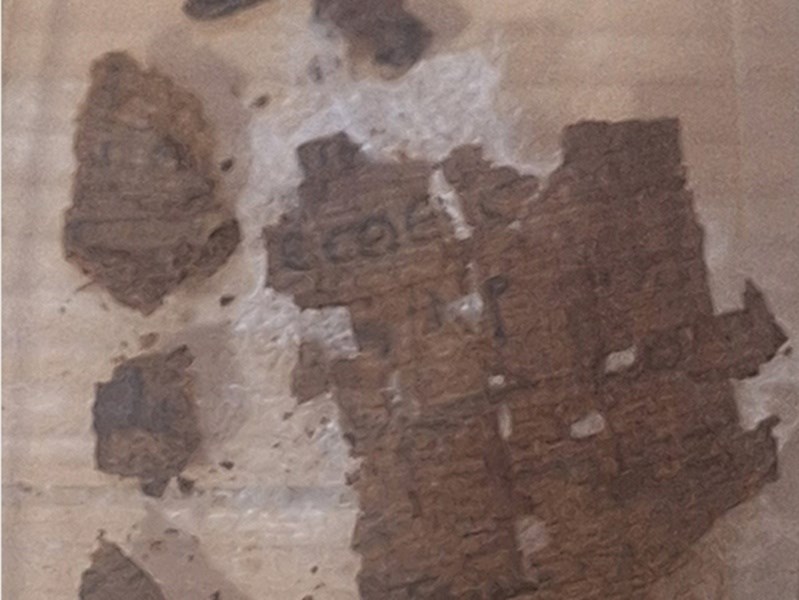 埃及木乃伊腹部藏荷馬史詩　遺體保存首納希臘文本改寫古喪葬史觀